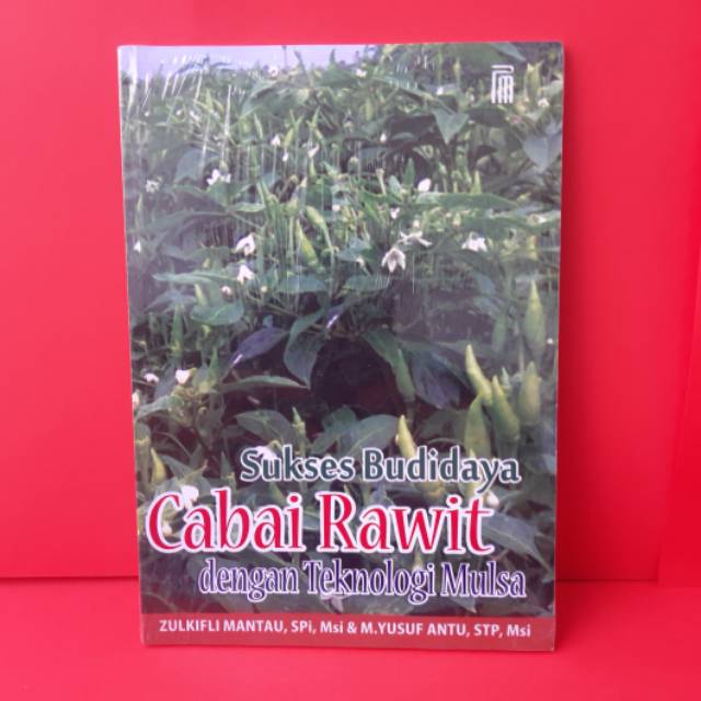 Sukses Budidaya Cabai Rawit dengan Teknologi Mulsa