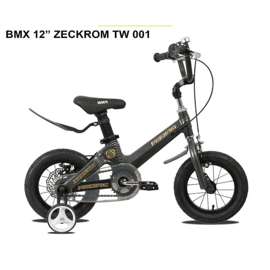 Sepeda Anak PACIFIC ZECKROM TW001 12 inch