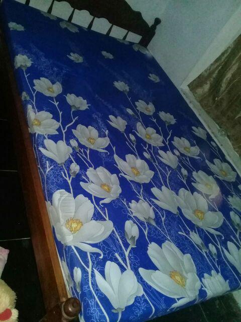 Kasur Busa Royal Foam Ukuran 15 Dan 20 Cm Density D23 Garansi 15 Tahun
