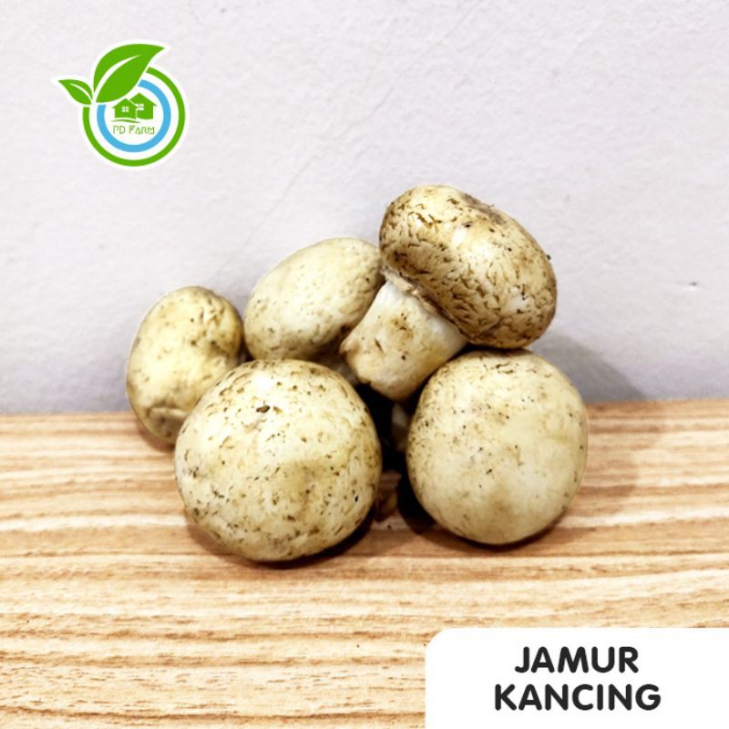 

Jamur Kancing (100gram)