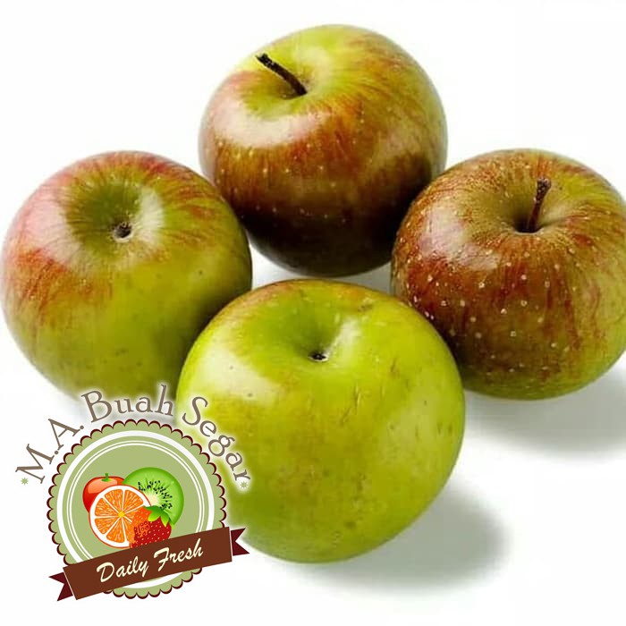 

Apel Malang 1KG
