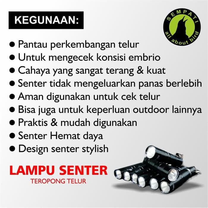 Lampu Senter Teropong Telur Burung Murai Kacer Lovebird Dll