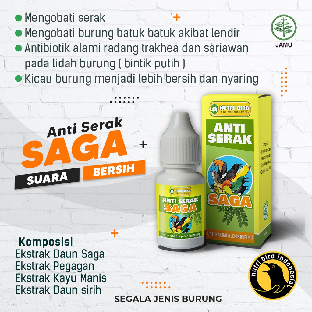 ANTI SERAK SAGA Herbal Burung