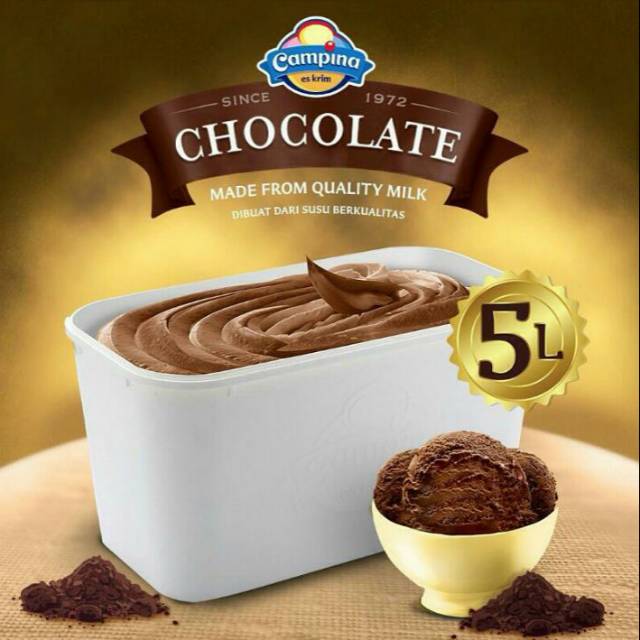 

ICE CREAM CAMPINA 5 L