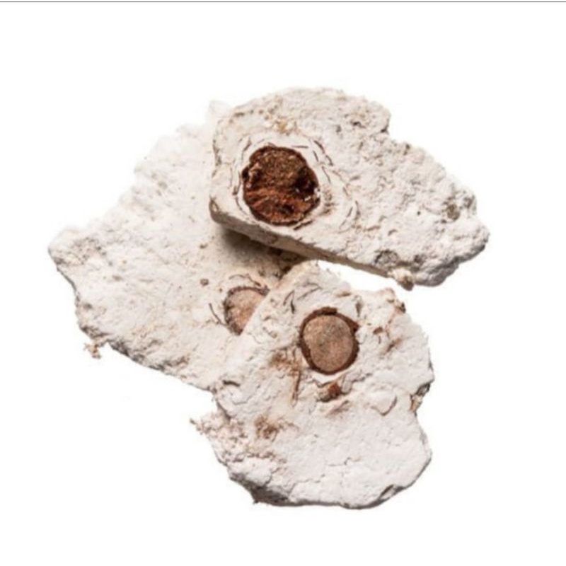 

100 G GR GRAM FU SHEN PIAN 茯神片 INDIAN PORIA BREAD WITH HOSTWOOD SCIEROTIUM PARARADICIS PORIAE COCOS PORIA SPIRIT