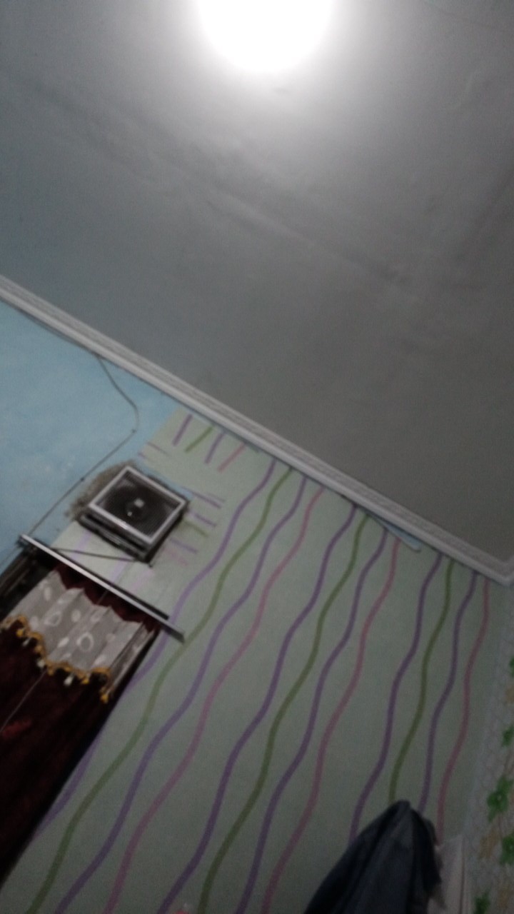 Scoop Ice / Scoop Ice Batu / Ice Cube Stainless