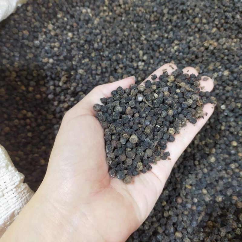 Biji Lada Hitam Sumatera 100 G Gram / Whole Black Pepper