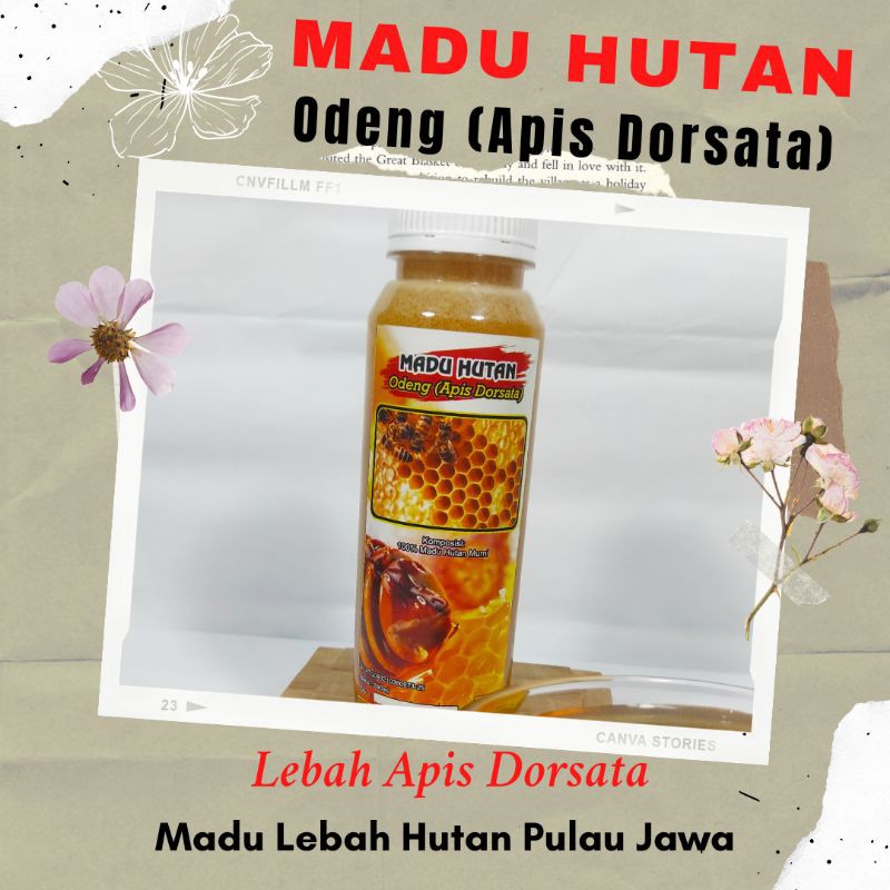 Madu Mahal dari Lebah Hutan Liar Odeng 500ml 100% Asli Tawon Gung