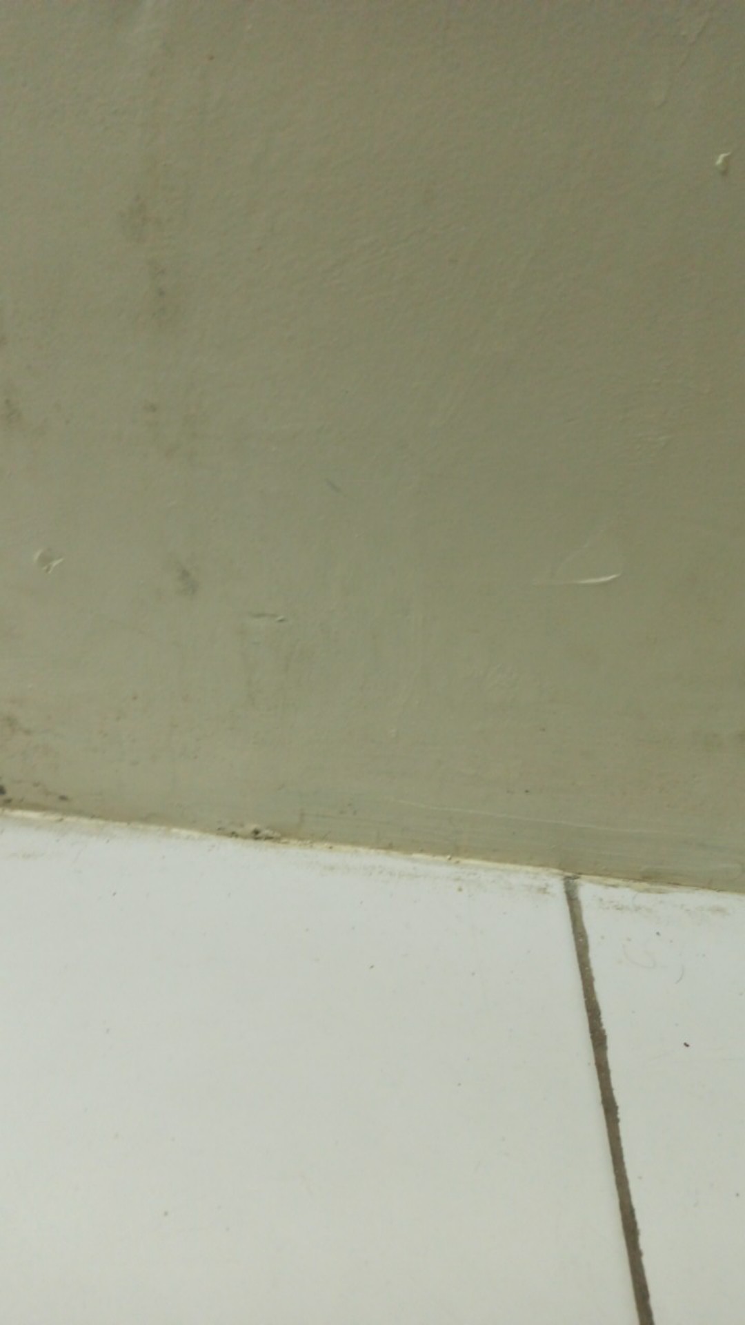 Baskom Segi / Bak Segi Tahu Sl Jumbo Alaska