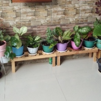 Standing pot bunga kayu jati belanda / STANDING POT / rak tanaman panjang 60cm