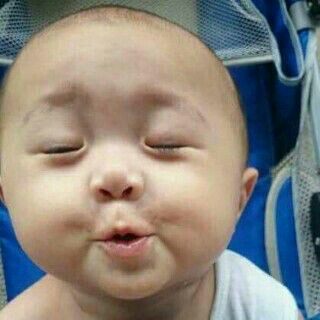 Rak Buku Dekstop Tempat Book Shelf Storage Rak Meja