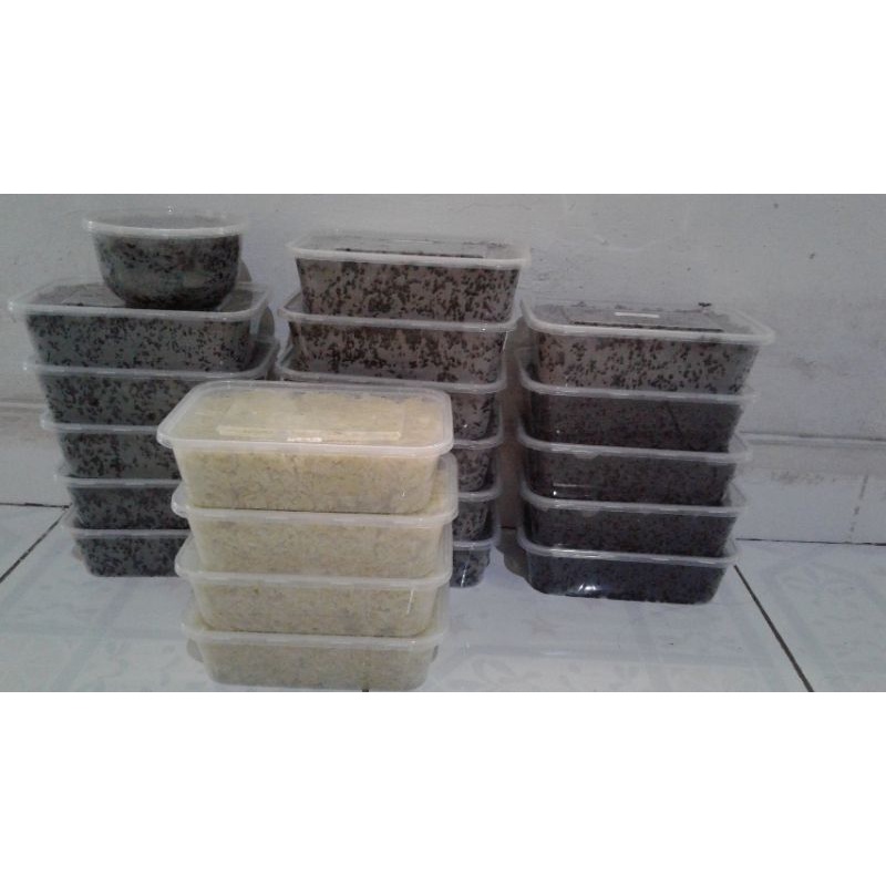 

tape ketan hitam dan tape ketan putih