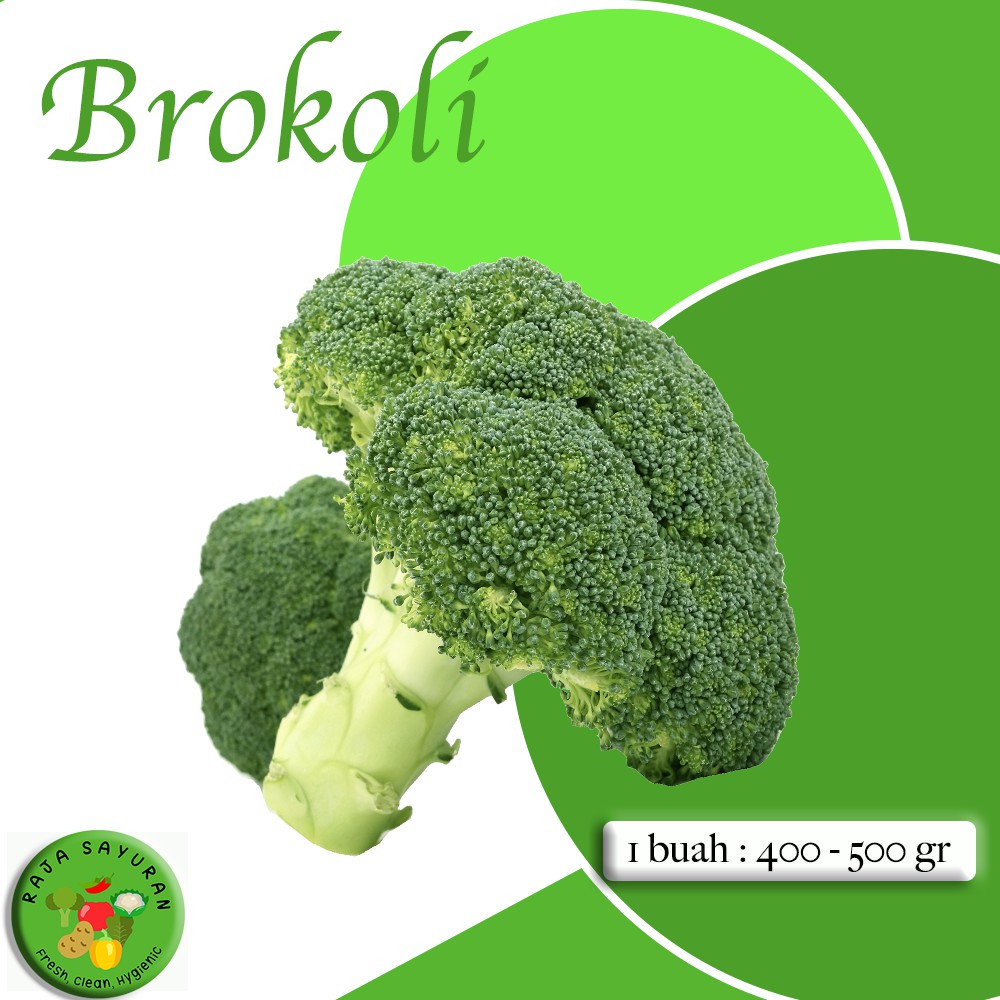 

SAYURAN SEGAR BROKOLI FRESH / BROKOLI MURAH - RAJA SAYURAN