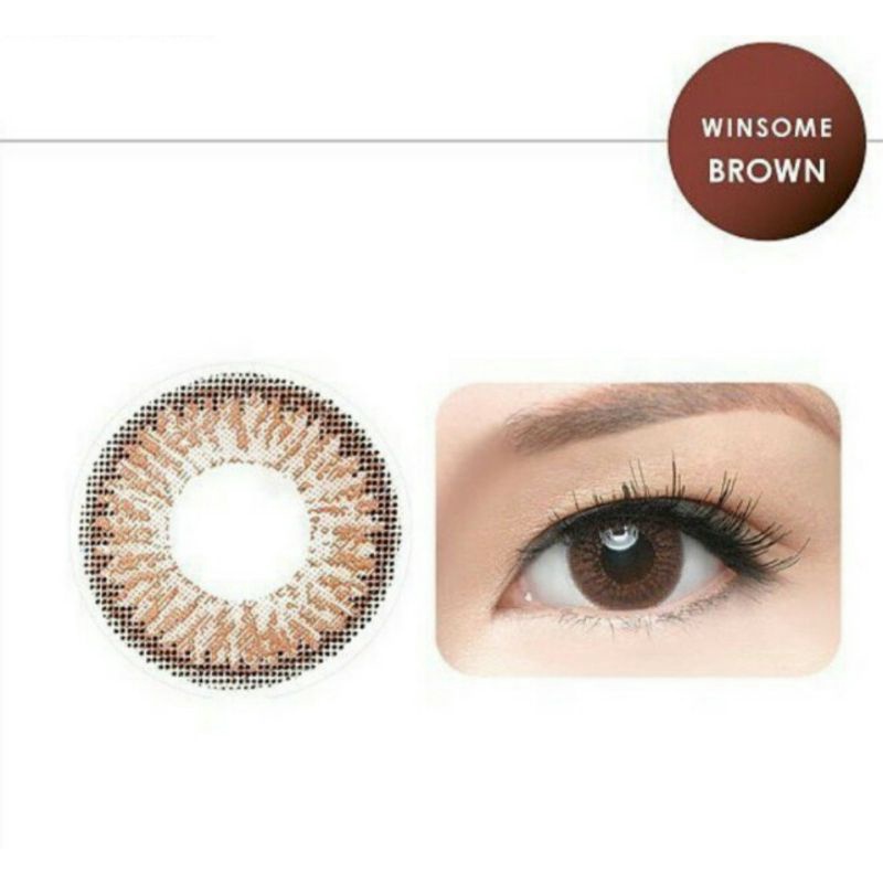 Softlens Freshkon Alluring Winsome Brown normal-minus 10