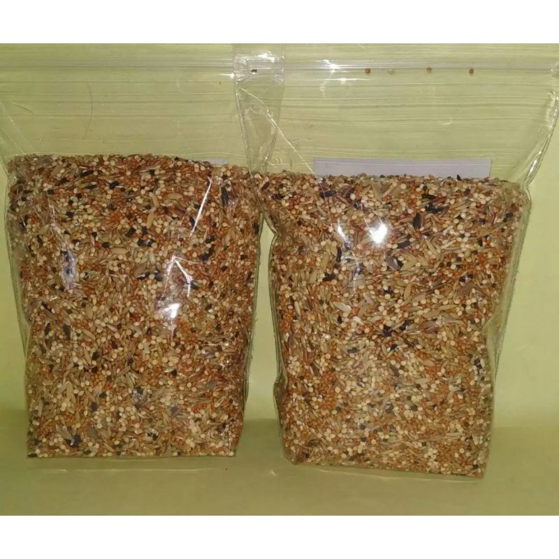 pakan burung perkutut tekukur racik