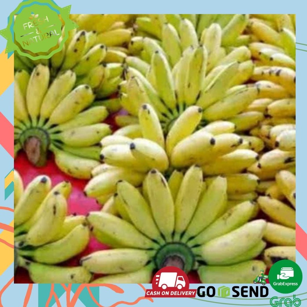 PISANG ULIN / BARLIN BUAH BUAHAN SEGAR