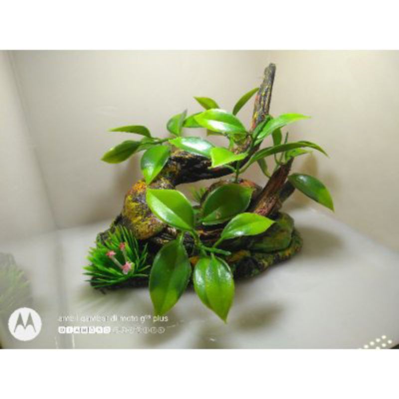 Hiasan Akuarium akrilik Soliter