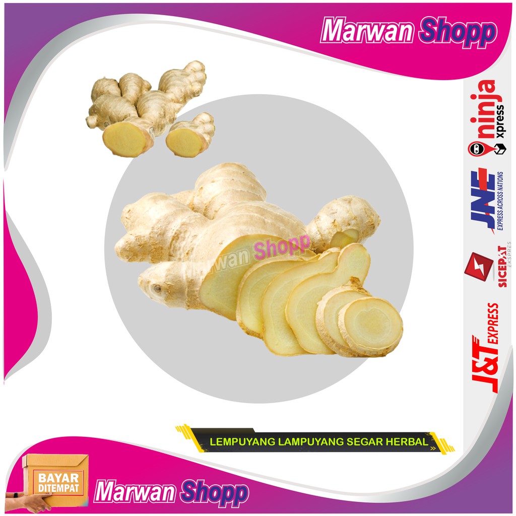 

Lempuyang Lampuyang segar herbal 1 KG MARWAN SHOPP