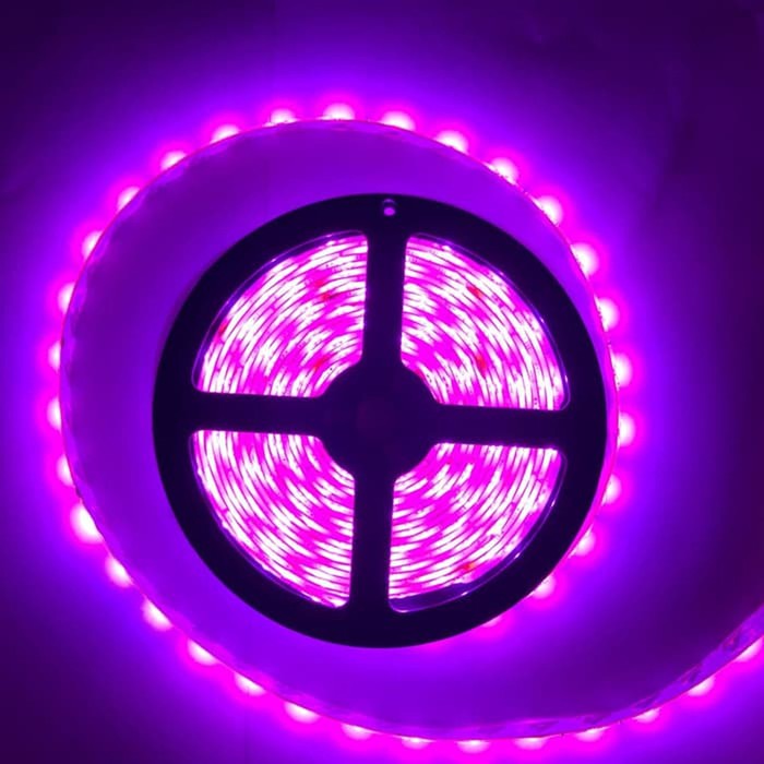  Lampu  Led  strip  ungu smd 2835 3528 IP44 Pink Merah muda 