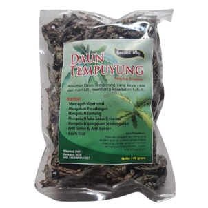 DAUN TEMPUYUNG KERING 50GR KENCANA WILIS