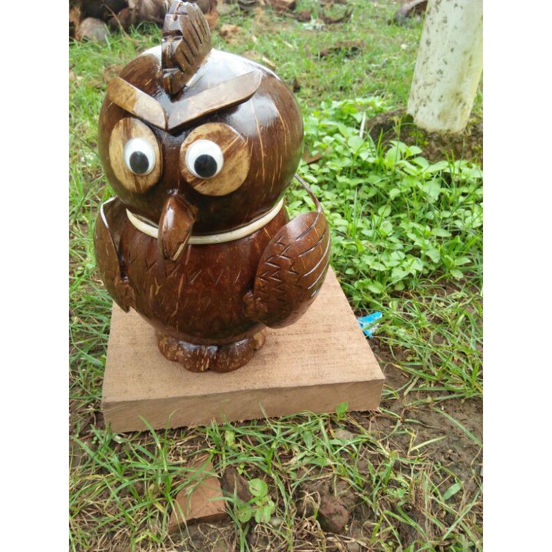 celengan unik batok kelapa/celengan karakter burung batok kelapa/celengan tempurung kelapa-2