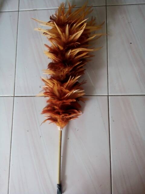 Kemoceng rawis