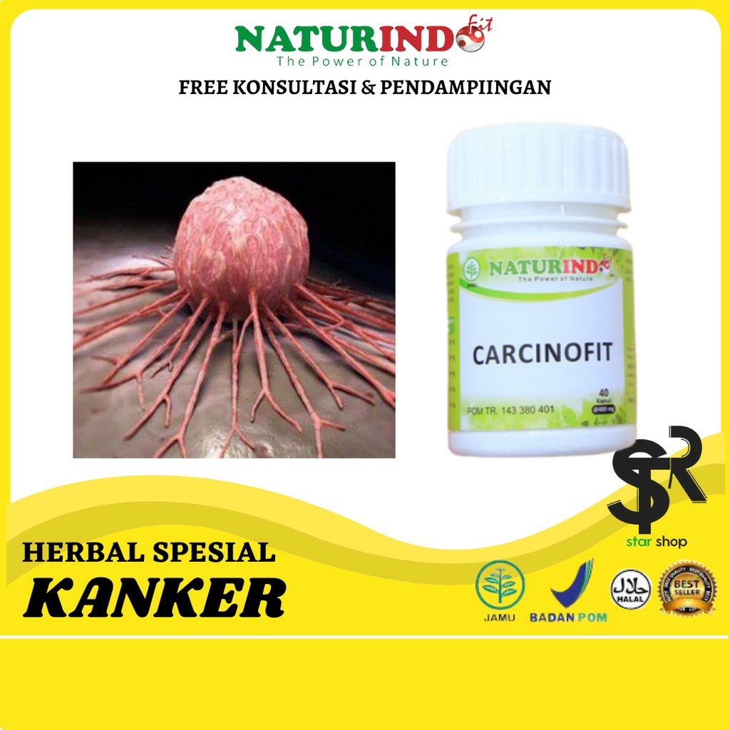 NATURINDO Obat Kanker Obat Kanker Serviks Obat Kanker Payudara CARCINOFIT