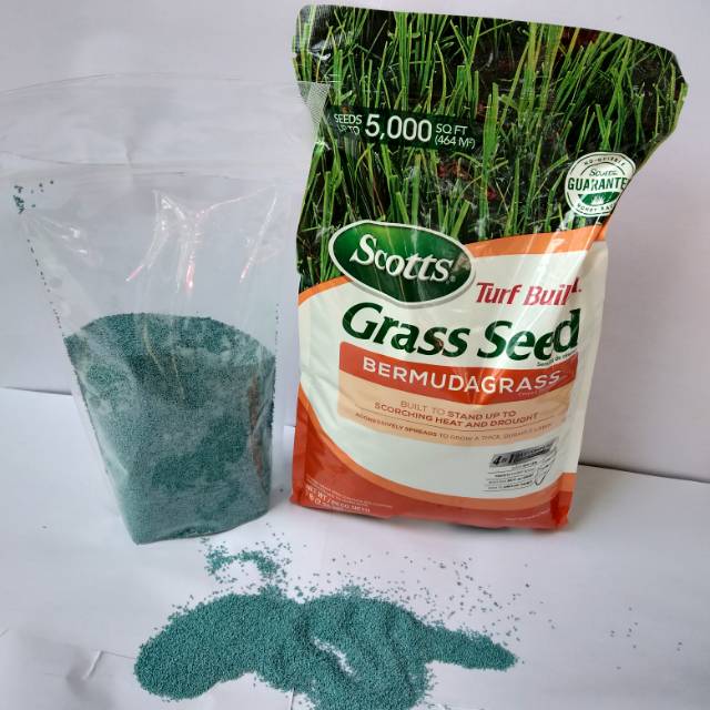 Benih Bibit Biji Rumput Bermuda Untuk Lapangan Sepak Bola