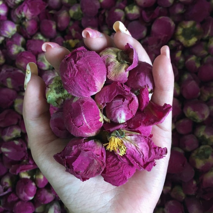 

Teh-Daun- Peony Tea Sachet 10Gr - 5Gr -Daun-Teh 800 Teh-Makanan-Minuman