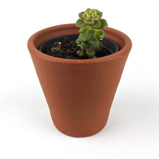  Pot  Terracotta Tanah  Liat  Gerabah D08 Loki Shopee Indonesia 