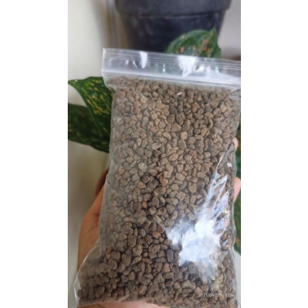 Media tanam pumice batu apung kaktus Skulen 500 gr