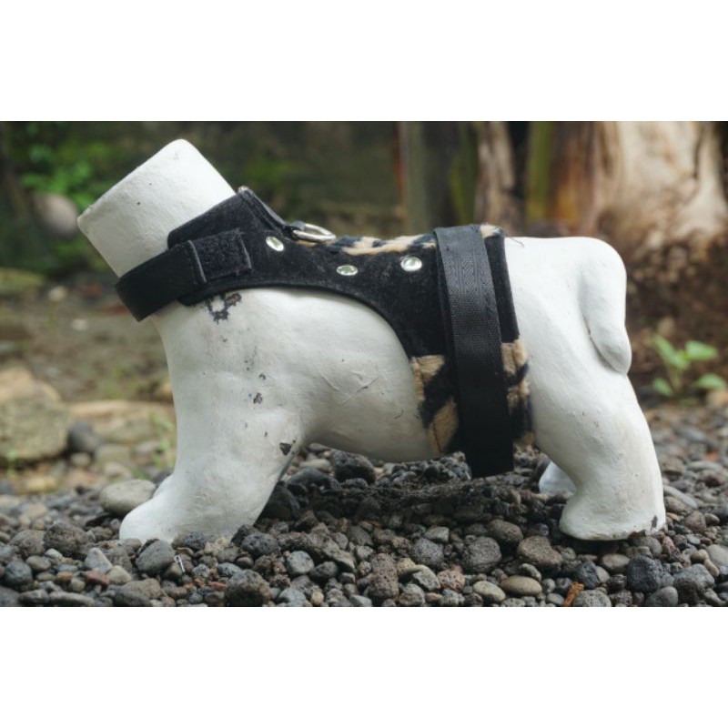 Rompi harness dengan motif black leopard untuk MUSANG, KUCING, OTTER, KELINCI FREE TALI TUNTUNAN