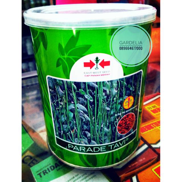Benih Kacang Panjang Parade Tavi dan Kanton Tavi 500gr Kalengan