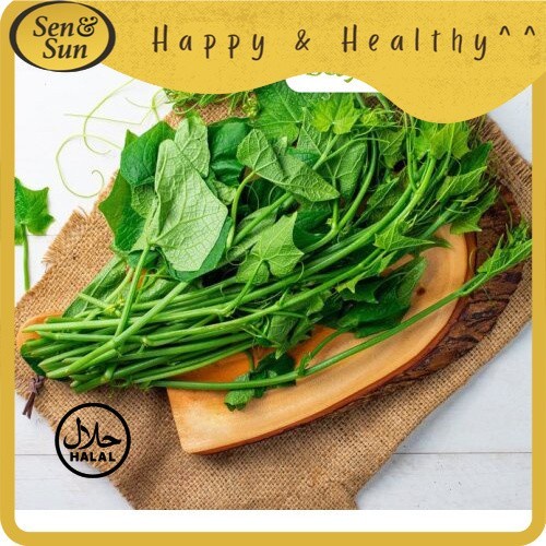 

Sen&Sun Daun Pucuk Labu Conventional 250 gr -
