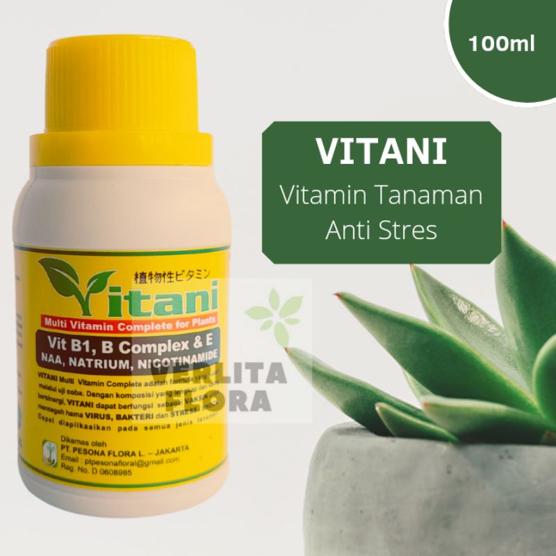 Vitani Vitamin B1 Tanaman