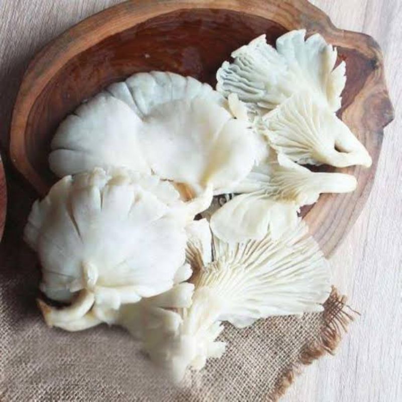

Jamur Tiram Segar 250 gr