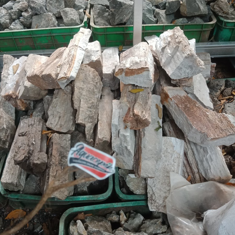 FOSIL STONE / BATU FOSIL AQUARIUM