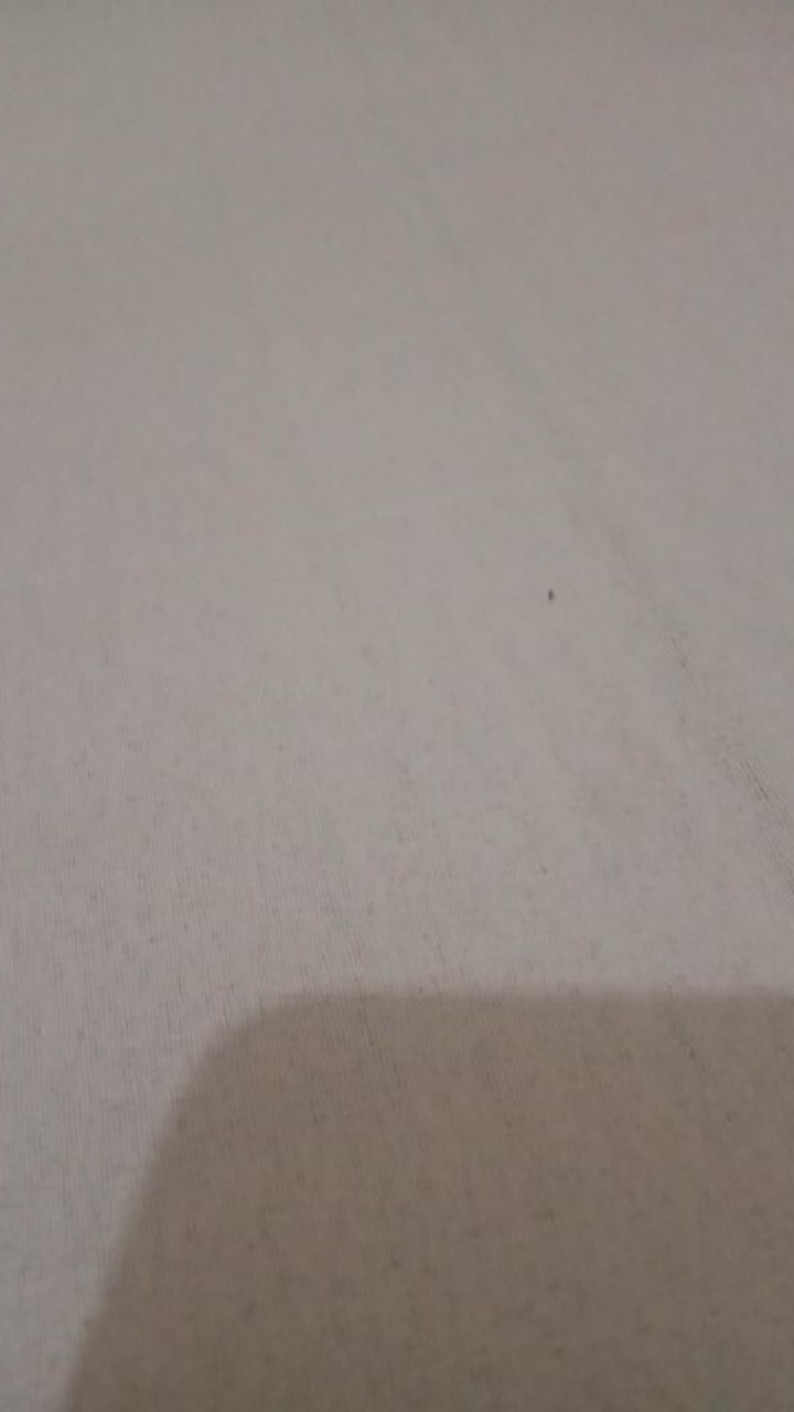 Hot Promo Botol Minum Hello Master + Free Sarung (480ml)