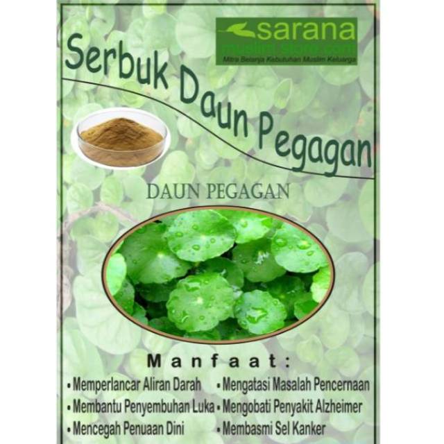 

Serbuk Bubuk Daun Pegagan Kemasan 250gr Asli Kaya Manfaat