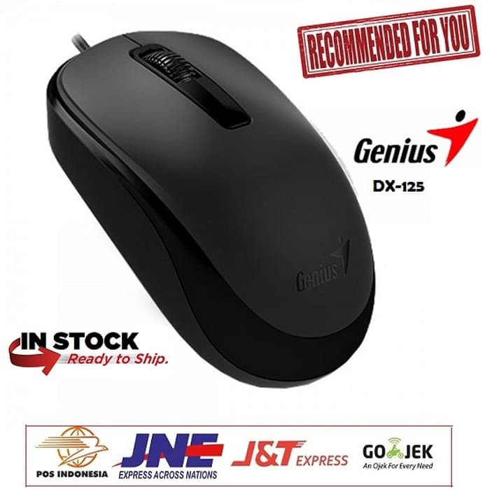 Mouse Genius DX-125 USB