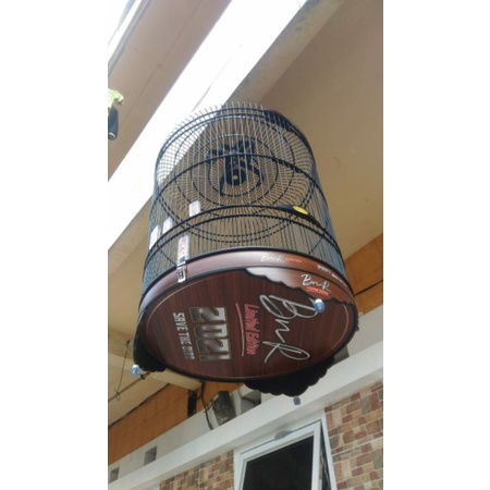 sangkar bnr murai batu #safethebird