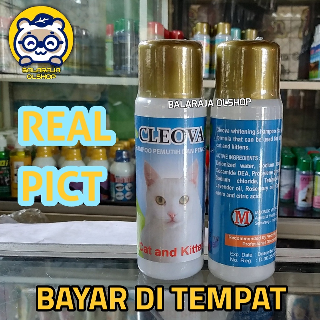 SAMPO KUCING KHUSUS BULU PUTIH CLEOVA CAT 125 SAMPO PEMUTIH KUCING