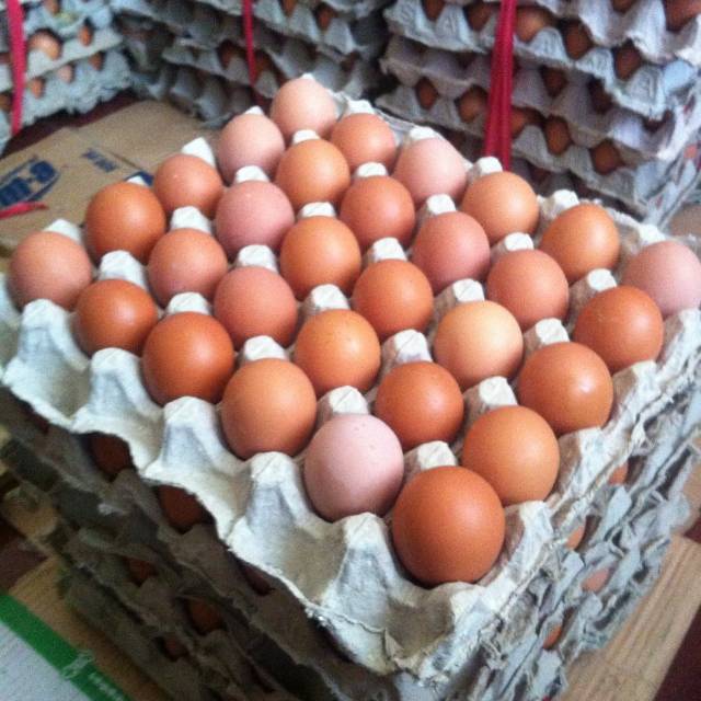 

Telur ayam super