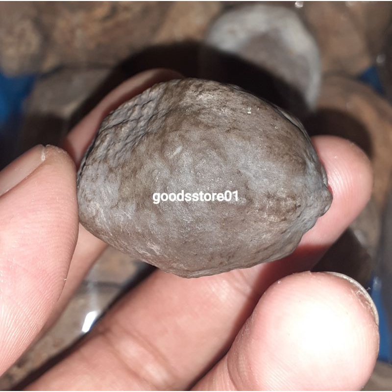 MuNcaNg adu KeMiRi Adu jayanti MaHMuD murah ori/Mayit jalim jawa ori yanti 4G super nyonyo