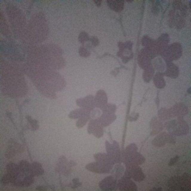 Hd Plong Ukuran 15x22 Isi 100pcs