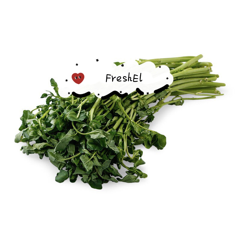 

FreshEl - SELADA AIR 1 ikat