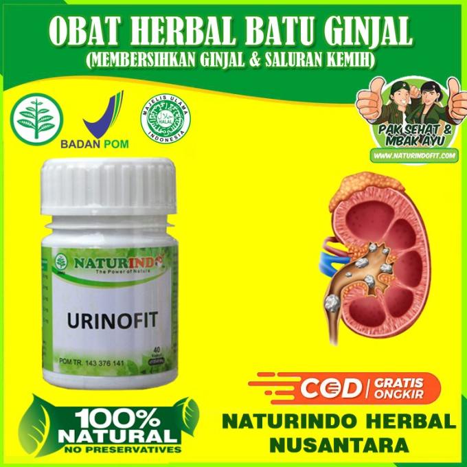 

TERBARU OBAT BATU GINJAL PELANCAR BUANG AIR HERBAL PALING AMPUH NATURINDO BPOM /OBAT HERBAL ASAM URAT/OBAT HERBAL PELANGSING/OBAT HERBAL KOLESTEROL/OBAT HERBAL DIABETES