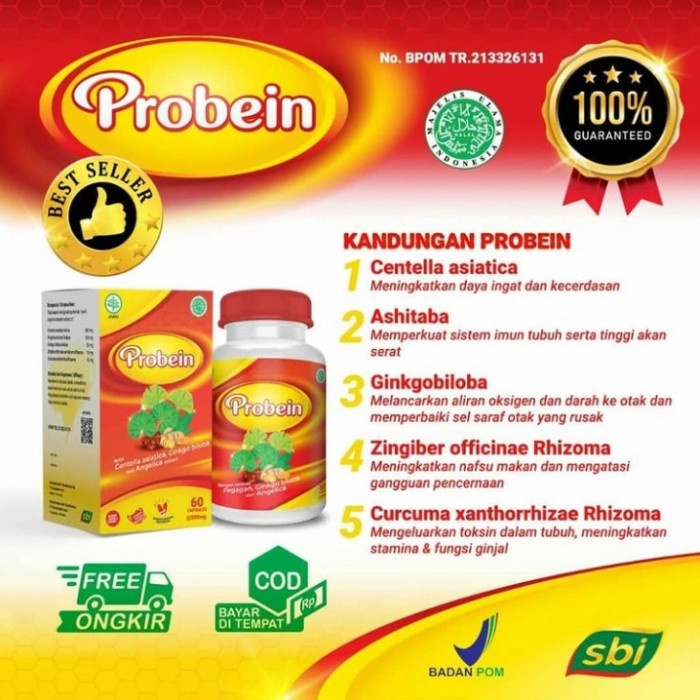 Nutrisi Otak Probein Vitamin Otak anak dan dewasa ORIGINAL BPOM