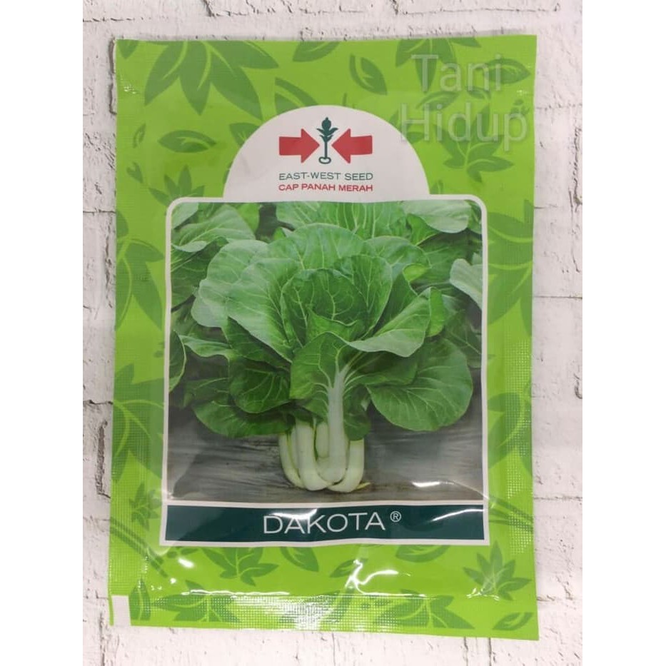 Unik Bibit Sawi Putih Dakota 25 gram - Panah Merah Diskon