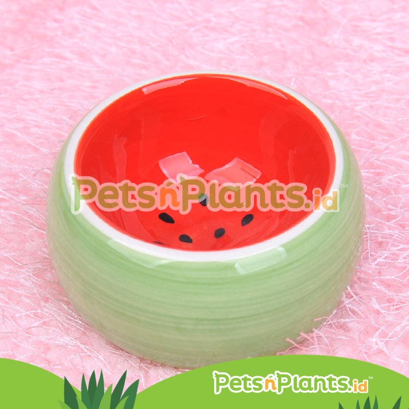 Tempat Makan Hamster Keramik Premium Import - Aneka Model Warna Ukuran